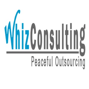Consulting Whiz